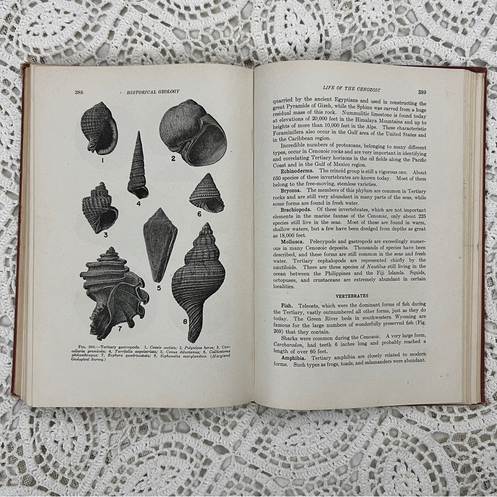 ⚠️Vintage Historial Geology hardcover